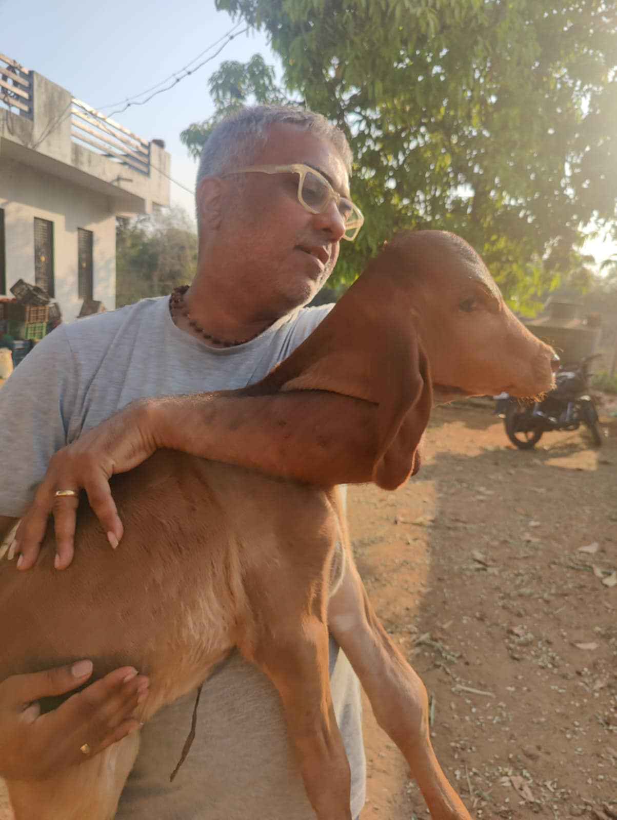Gaupalak Niraj Kantilal Purohit